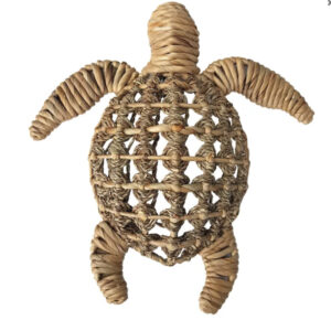 Turtle Woven Wall Hanging